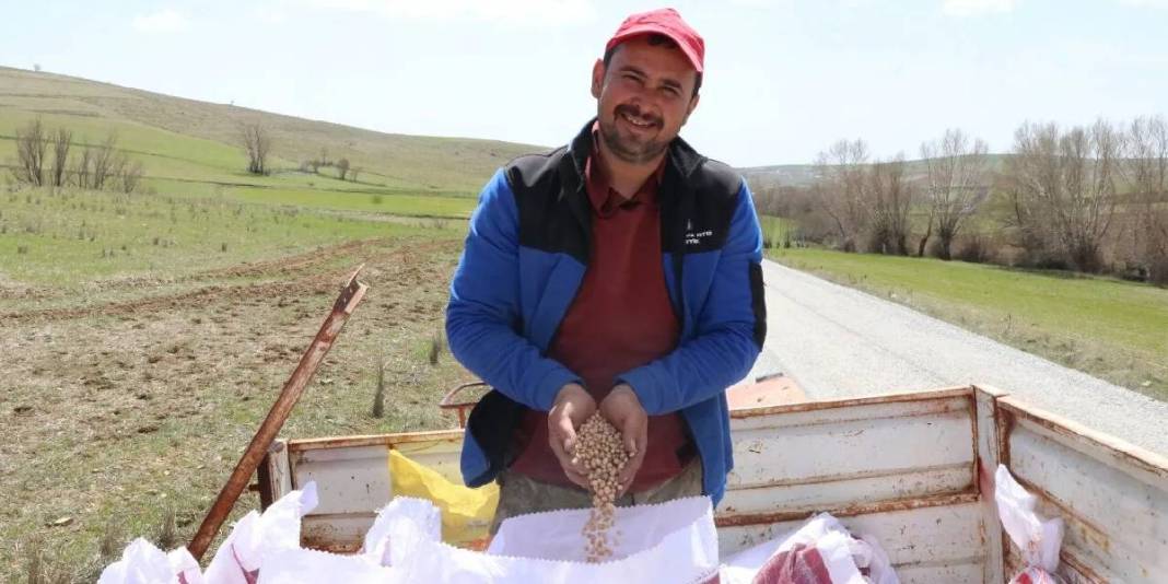 Yağışlar çiftçiyi umutlandırdı: Nohutta rekolte beklentisi arttı 7